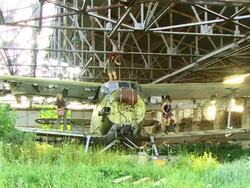 Girls Band in Plane Stock Footage
