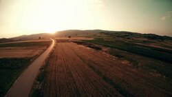 Flying over Cultivated Land Stock Footage