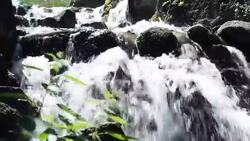 beautiful cascading + Audio Stock Footage