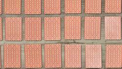 TED-Ed: What color is Tuesday? Exploring synesthesia - Richard E. Cytowic Instructional Video