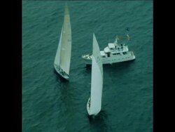 SYND 31 8 80 YACTH RACING SCENES FROM THE AMERICAS CUP News Clip