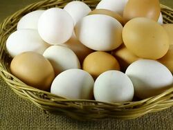 White and Brown eggs in the basket Stock Footage