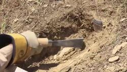 Finance squeeze hits Afghan mine clearers Instructional Video