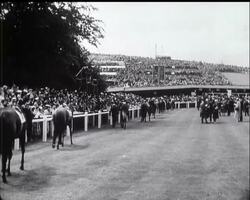 GLORIOUS GOODWOOD News Clip