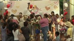Puppy love in Peru as dogs tie the knot Instructional Video