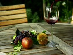 Winetasting Stock Footage