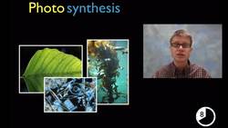 LS1C - Matter and Energy Flow in Organisms Instructional Video