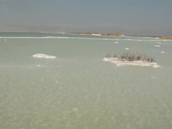 WS Dead Sea shore with salt deposits / Ein Gedi, Mechoz haDarom, Israel Stock Footage