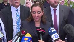 CLEAN : Mexican FM urges 'exhaustive' probe into Egypt tourist deaths (2 News Clip