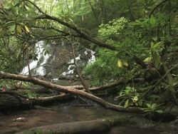 Lil waterfall 126 Stock Footage