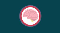 Shaky Science in the New Rules on Contraceptive Coverage Instructional Video