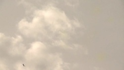 CLEAN : Jihadist offensive on Syrias Kobane enters its second month News Clip