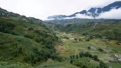 terraced rice field in Sapa, Vietnam Stock Footage