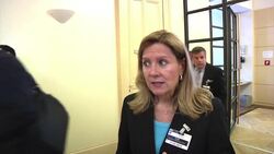 Vatican undergoes second grilling at UN this year over global priest sex abuse scandal News Clip