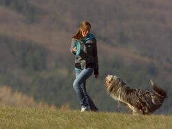 HD Super Slow-Mo: Woman And Dog Playing With Plastic Disk Stock Footage