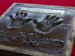 Induction of Kenny Loggins Into The Rockwalk of Fame Stock Footage