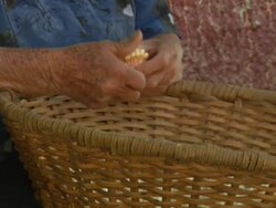 "CU of mother and grandmothers hands as they de-cob corn into wicker baskets, rural Amazonas region of Peru [PerÃƒÂº]" Stock Footage