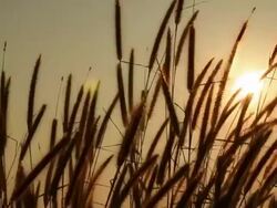 Sunrise or sunset over mountain. Stock Footage