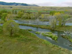 Low altitude aerial of deer crossing the Gallatin River near Bozeman, MT as a Bald Eagle enters frame and leaves Stock Footage