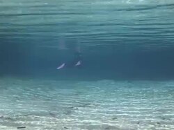 Three Sisters Spring Stock Footage