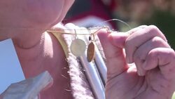 CLEAN : Paris priest: jihadist plot could have caused a massacre News Clip