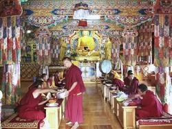  MS Shot of Buddhist monks dinning in temple Matho Monastery / Ladakh, India  Stock Footage
