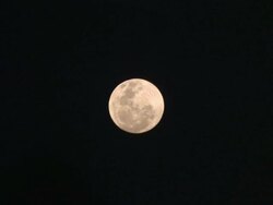 WS Shot of full moon / Unspecified, Western Cape, South Africa Stock Footage