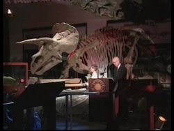 An animated, accurate cast skeleton of a Triceratops, one of the last dinosaurs to roam Earth 65 million years ago. News Clip