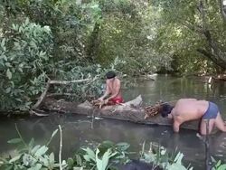 Kamayura Tribe Of The Xingu Indian Reserve Stock Footage