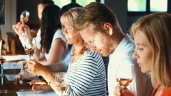 Wine tasting. Stock Footage