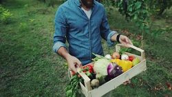 Hipster man with grocery box Stock Footage