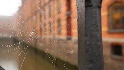 Hamburgs Speicherstadt with cobweb Stock Footage