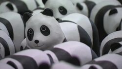 French artist Paulo Grangeon in part with the World Wildlife Fund crafted 1600 papier mache pandas to raise awareness of dwindling panda populations. (June 9) News Clip