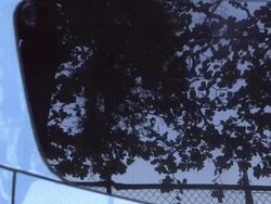 Street Art In Rio De Janeiro - Graffiti Artists Stock Footage