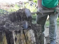 woodcutter using wedge Stock Footage