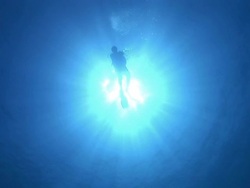 A diver swims in sun-brightened water. Stock Footage
