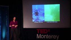 Melissa Garren: The sea we've hardly seen Instructional Video