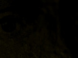 Bright light shines on and off Andrew Jackson's eyes on the $20 bill Stock Footage