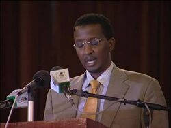 New constitution for Kenya as 'yes' result announced News Clip