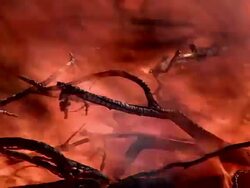 forest fire Stock Footage