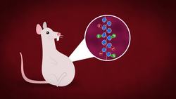 Is Inheritance Really All In Our Genes? Instructional Video