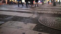 Steam from manhole in NYC Stock Footage