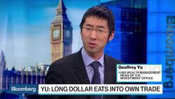 Yu: Being Long Dollar Eats Into Reflation Trade News Clip