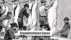 Incorporation Doctrine Instructional Video