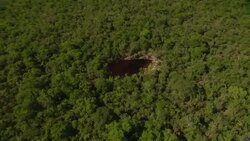 A dense forest surrounds  a deep sinkhole. Stock Footage