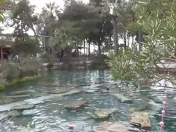 Pool, Pamukkale (Hierapolis), Turkey Stock Footage