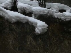 MS TD Mud volcano beside Lake Akan in Akan National Park / Teshikaga, Japan Stock Footage