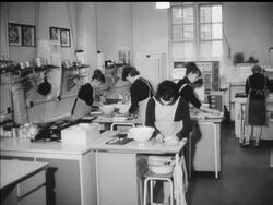 COMPREHENSIVE VISIT News Clip