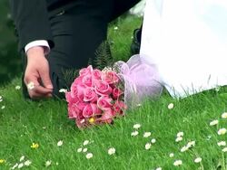 HD: Groom Picking A Daisy Stock Footage