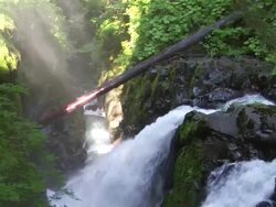  MS TU T Rainbow over bridge in rainforest  /  Washington, United States Stock Footage
